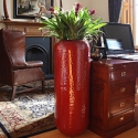 Interior Landscaping