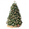 Christmas Trees